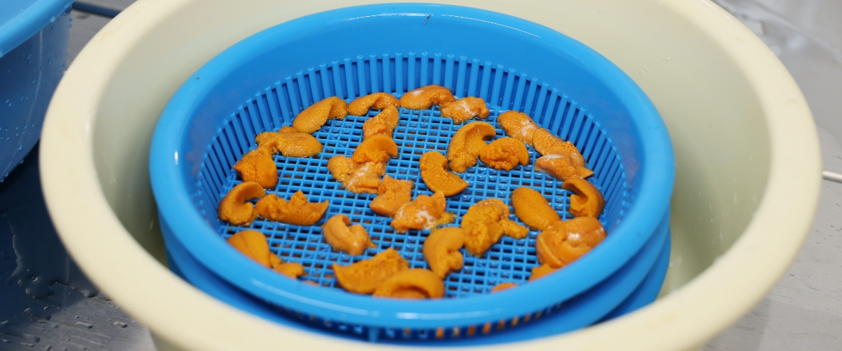 殻付きうにを綺麗に美味しく食べるコツ