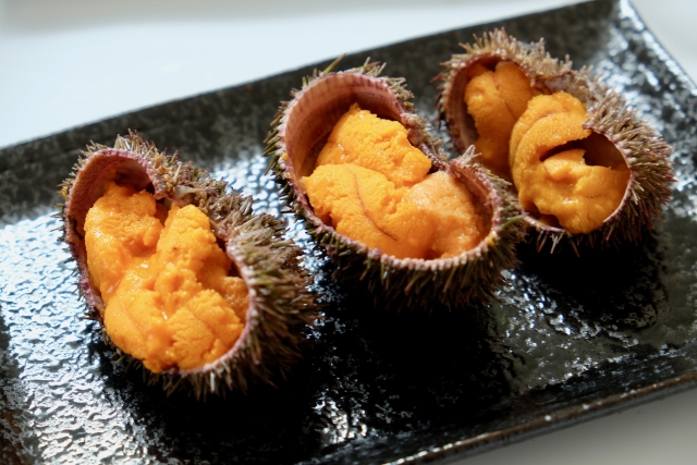 北海道のうにはなぜ美味しいのか｜丸幸さいとう水産が伝えたい海と昆布の力